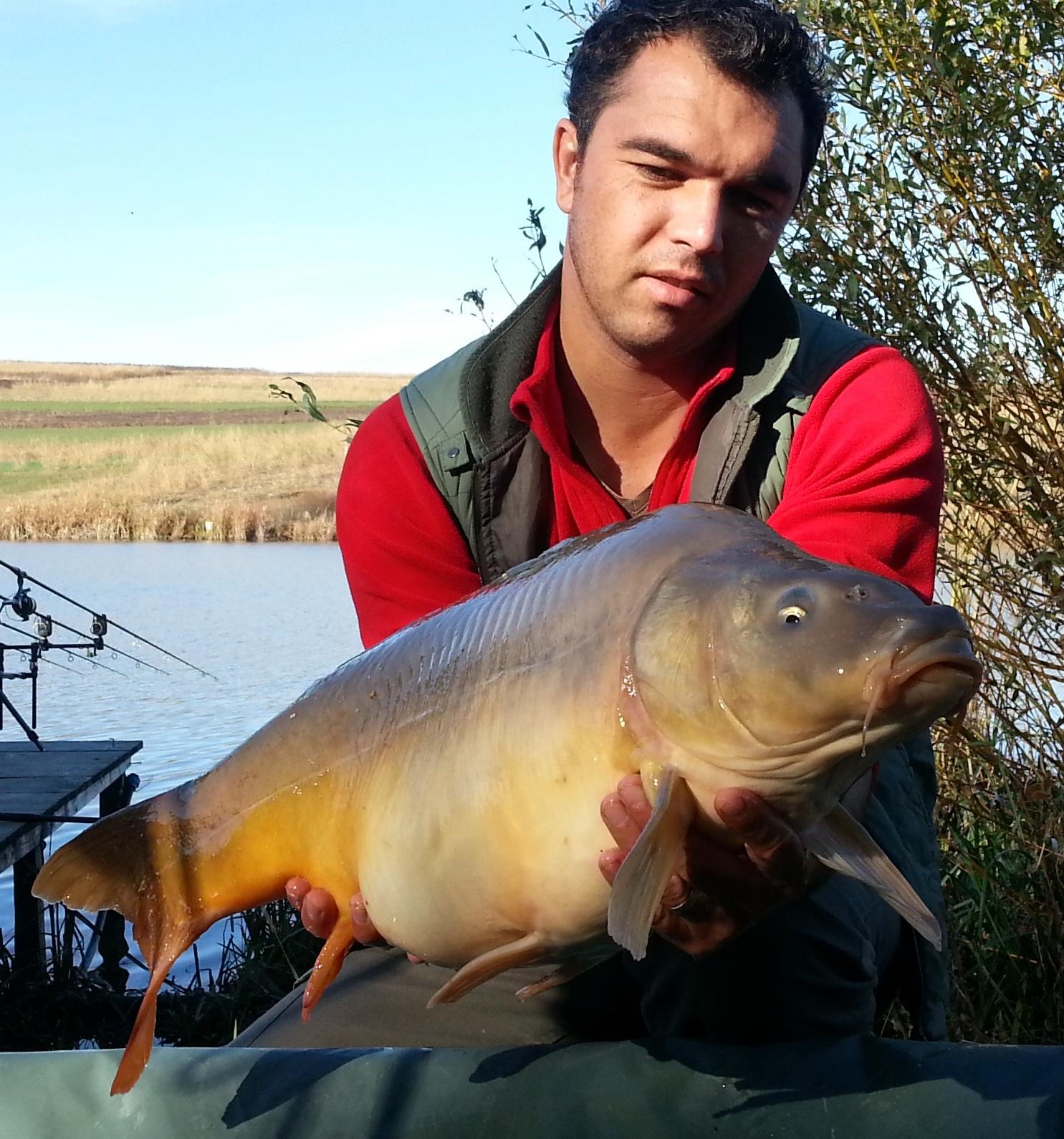 Magura 9 19 - 20 oct.